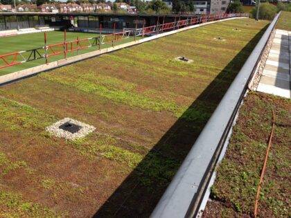 Dartford Football Club green roof sytem.