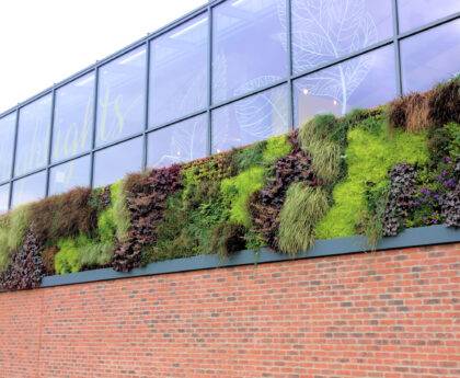 Green wall watering at Barker and Stonehouse